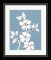 Botanic Drawing III Framed Print