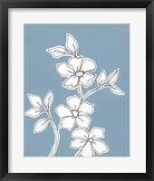 Botanic Drawing III Framed Print