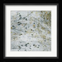 Seasonal Transition I Framed Print