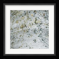 Seasonal Transition II Framed Print