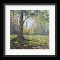 Path to the Tree I Framed Print