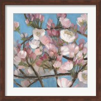 Cherry Blossoms I Fine Art Print