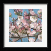 Cherry Blossoms I Fine Art Print
