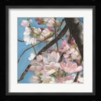 Cherry Blossoms II Fine Art Print