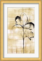 Gilded Beauty I Fine Art Print