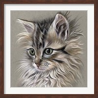 Kitten Portrait I Fine Art Print
