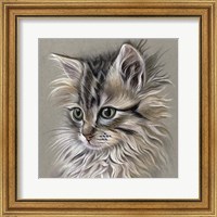 Kitten Portrait I Fine Art Print