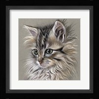 Kitten Portrait I Fine Art Print