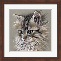 Kitten Portrait I Fine Art Print