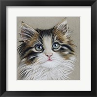 Kitten Portrait II Fine Art Print