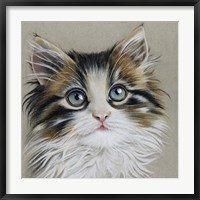 Kitten Portrait II Fine Art Print