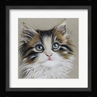 Kitten Portrait II Fine Art Print
