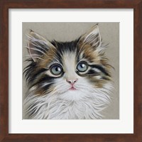 Kitten Portrait II Fine Art Print