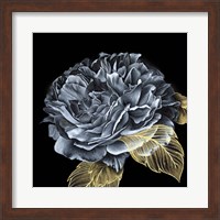 River Roses I Fine Art Print