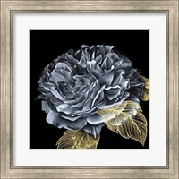 River Roses I Fine Art Print