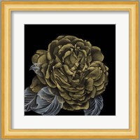 River Roses II Fine Art Print