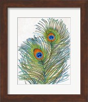 Vivid Peacock Feathers I Fine Art Print