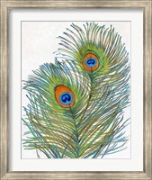 Vivid Peacock Feathers I Fine Art Print