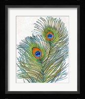 Vivid Peacock Feathers I Framed Print