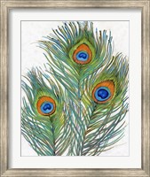 Vivid Peacock Feathers II Fine Art Print