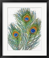 Vivid Peacock Feathers II Fine Art Print