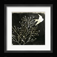Black Night I Framed Print
