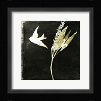 Black Night II Framed Print