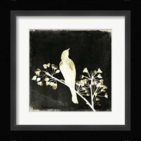 Black Night III Framed Print