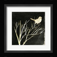 Black Night IV Framed Print