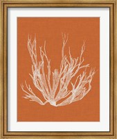 Seaweed Pop I Fine Art Print