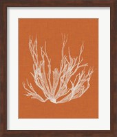 Seaweed Pop I Fine Art Print