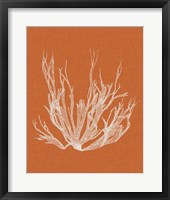 Seaweed Pop I Framed Print
