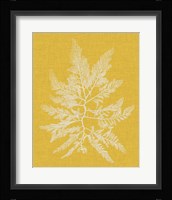 Seaweed Pop II Fine Art Print