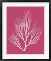 Seaweed Pop III Fine Art Print