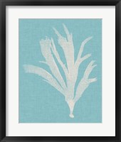 Seaweed Pop IV Framed Print