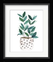 Plant in a Pot I Framed Print
