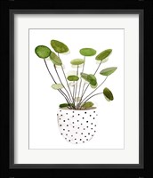 Plant in a Pot II Framed Print
