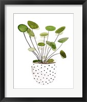 Plant in a Pot II Framed Print
