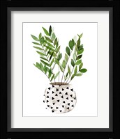 Plant in a Pot III Framed Print