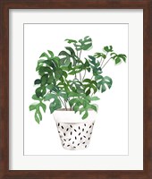 Plant in a Pot IV Fine Art Print