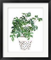 Plant in a Pot IV Framed Print