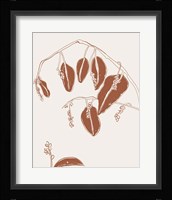 Fragile Things II Framed Print