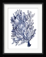 Seaweed Under Water II Fine Art Print