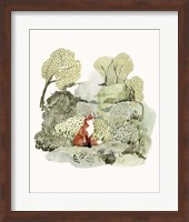 Fox Glen I Fine Art Print