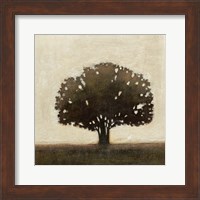 Tree of Solace II Fine Art Print