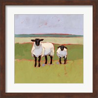 Suffolk Sheep I Fine Art Print