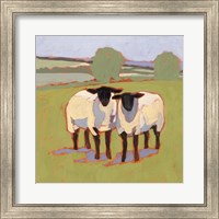 Suffolk Sheep III Fine Art Print