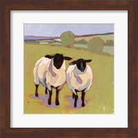 Suffolk Sheep IV Fine Art Print