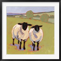 Suffolk Sheep IV Fine Art Print