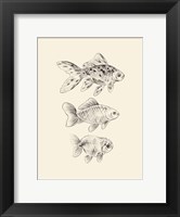 Goldfish I Fine Art Print